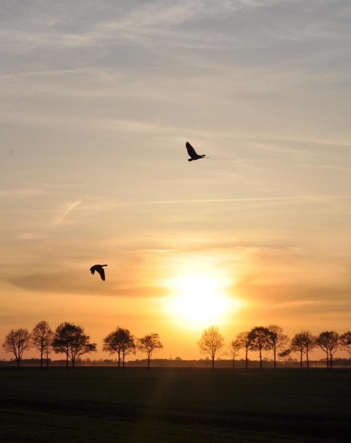 Slaaphutje Buitenwedde Westerwolde Luaran gambar