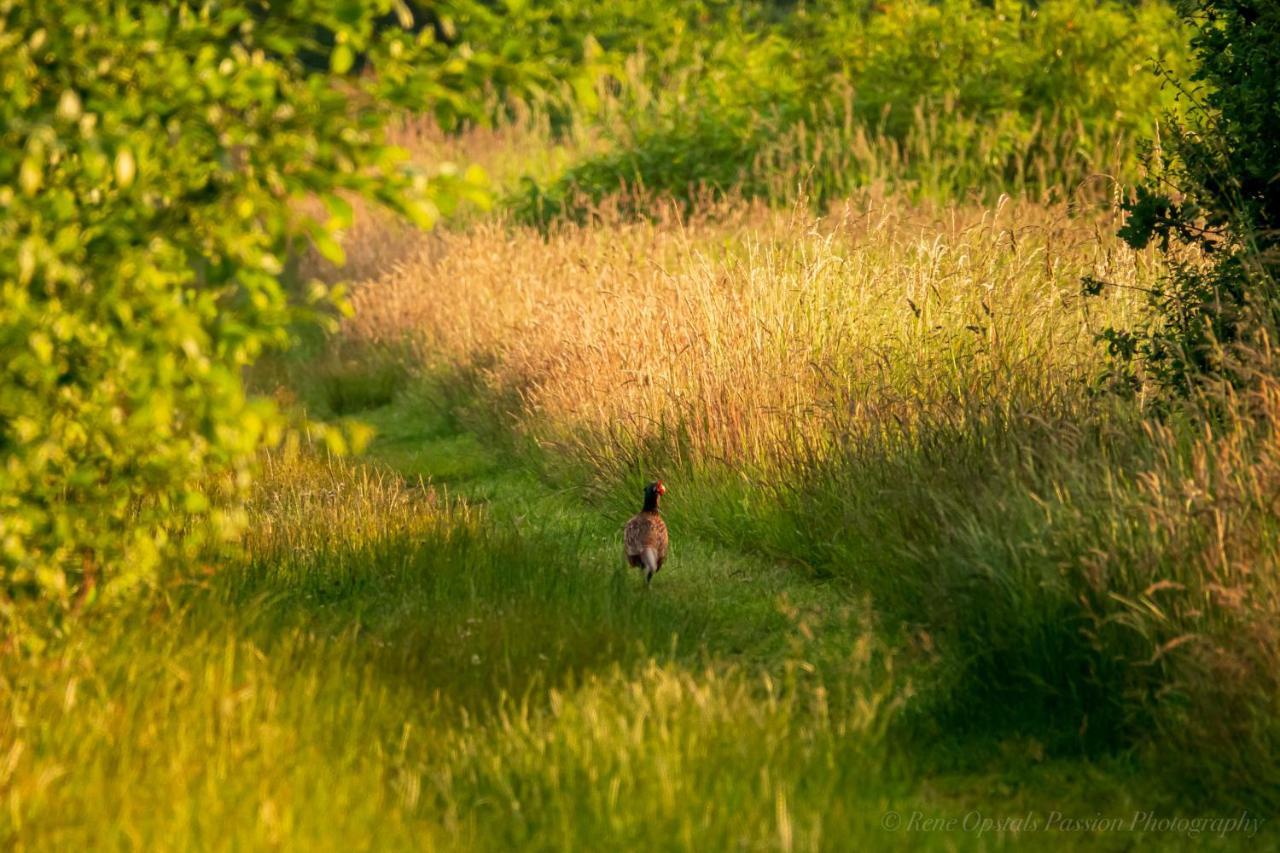 Slaaphutje Buitenwedde Westerwolde Luaran gambar